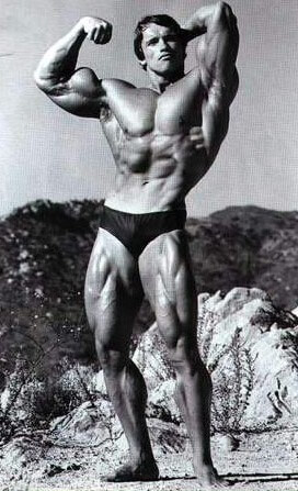 Arnold V Taper - Muscle Masterclass Lats