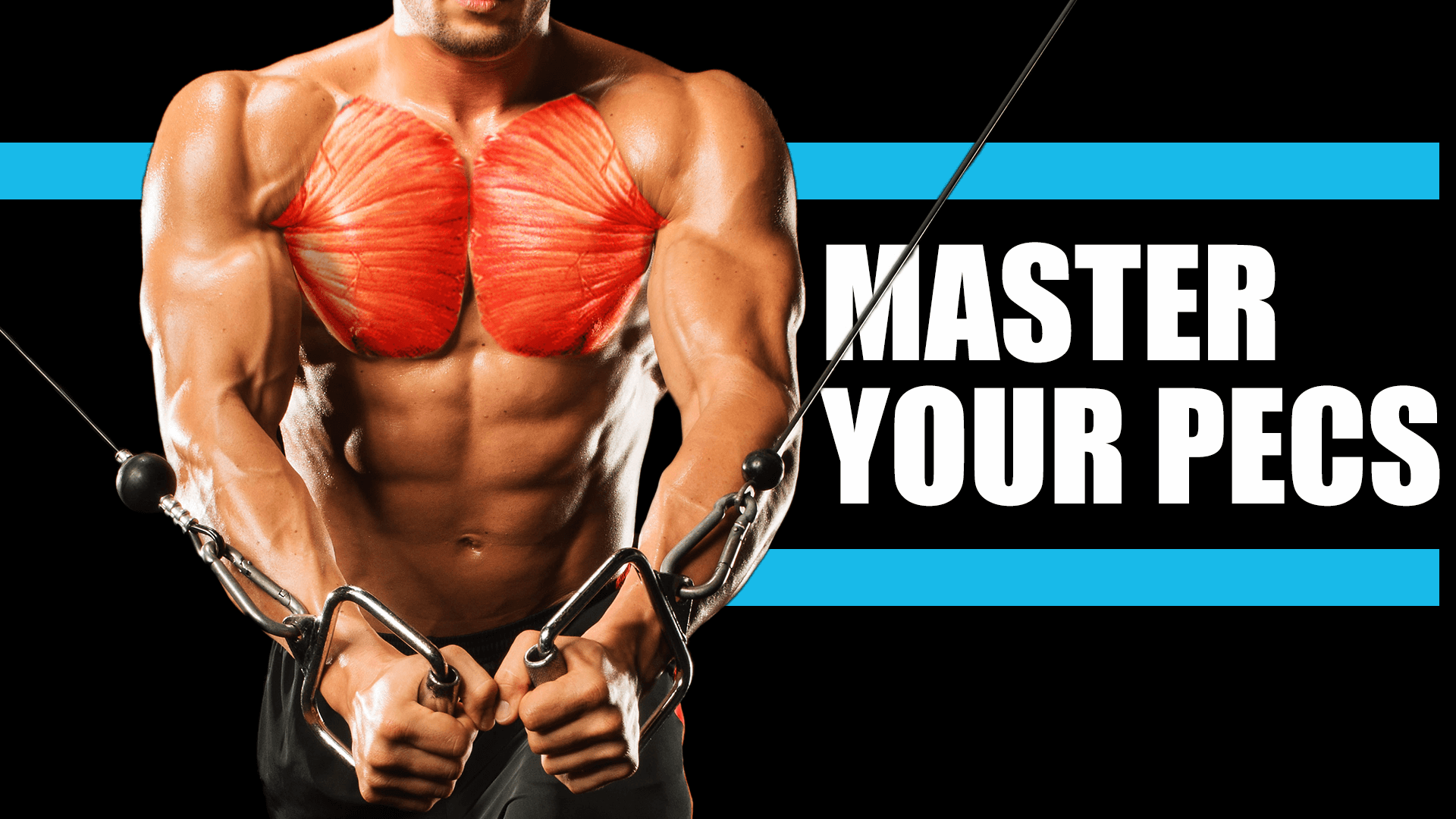 Muscle Masterclass : Chest