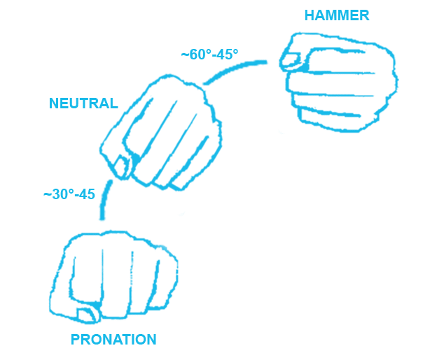 Pronation, Neutral and Hammer Grip | OVERHAND vs UNDERHAND Tricep Extensions | What's better?