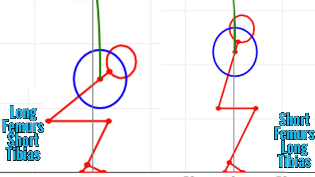 Long Femurs,Short Tibias vs Short Femurs, Long Tibias | Why your Squat looks different than others | How Anatomy affects Squat Form 